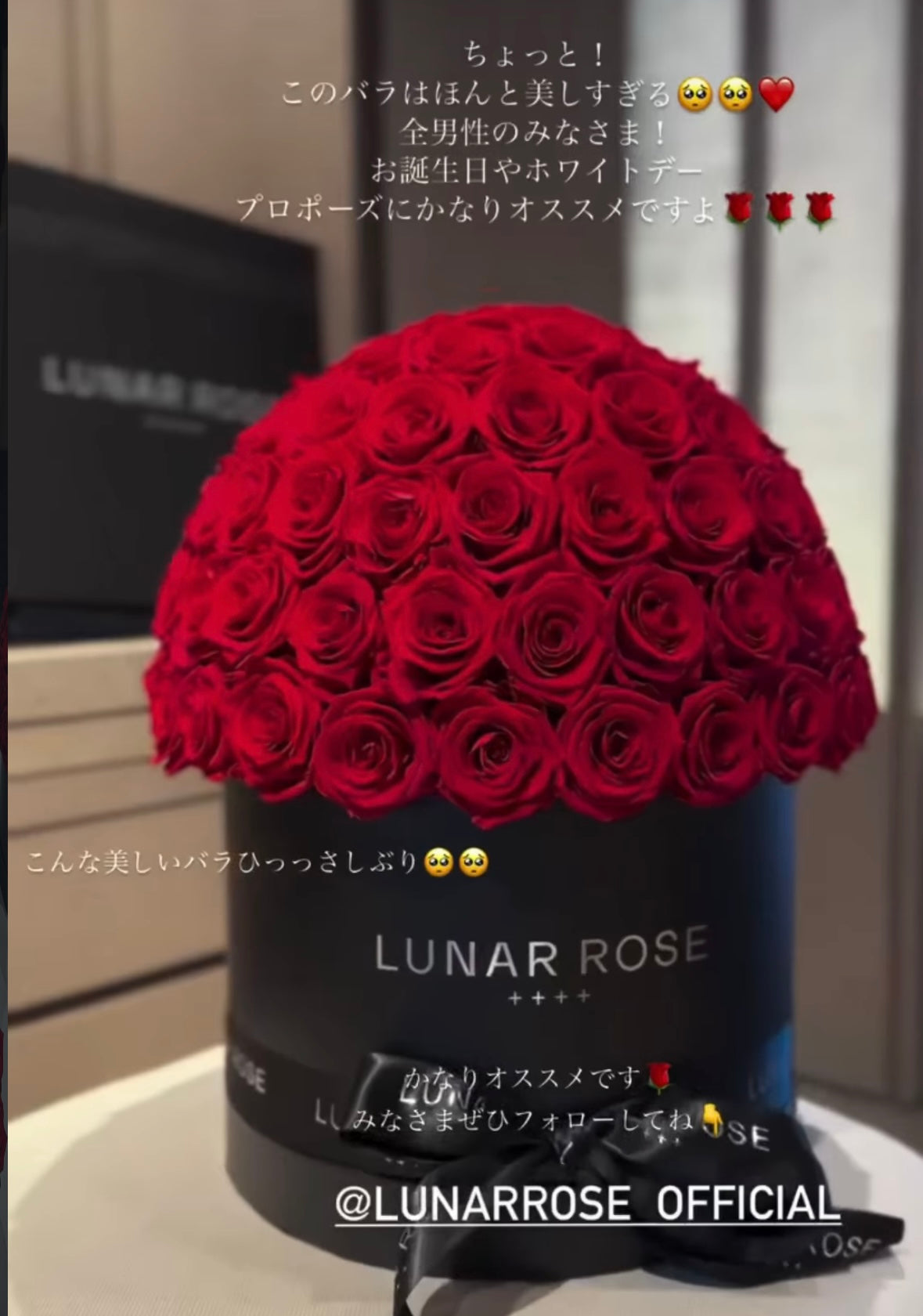 ROSE DOME Red L | LUNAR ROSE | ルナーローズ | 高級プリザーブド