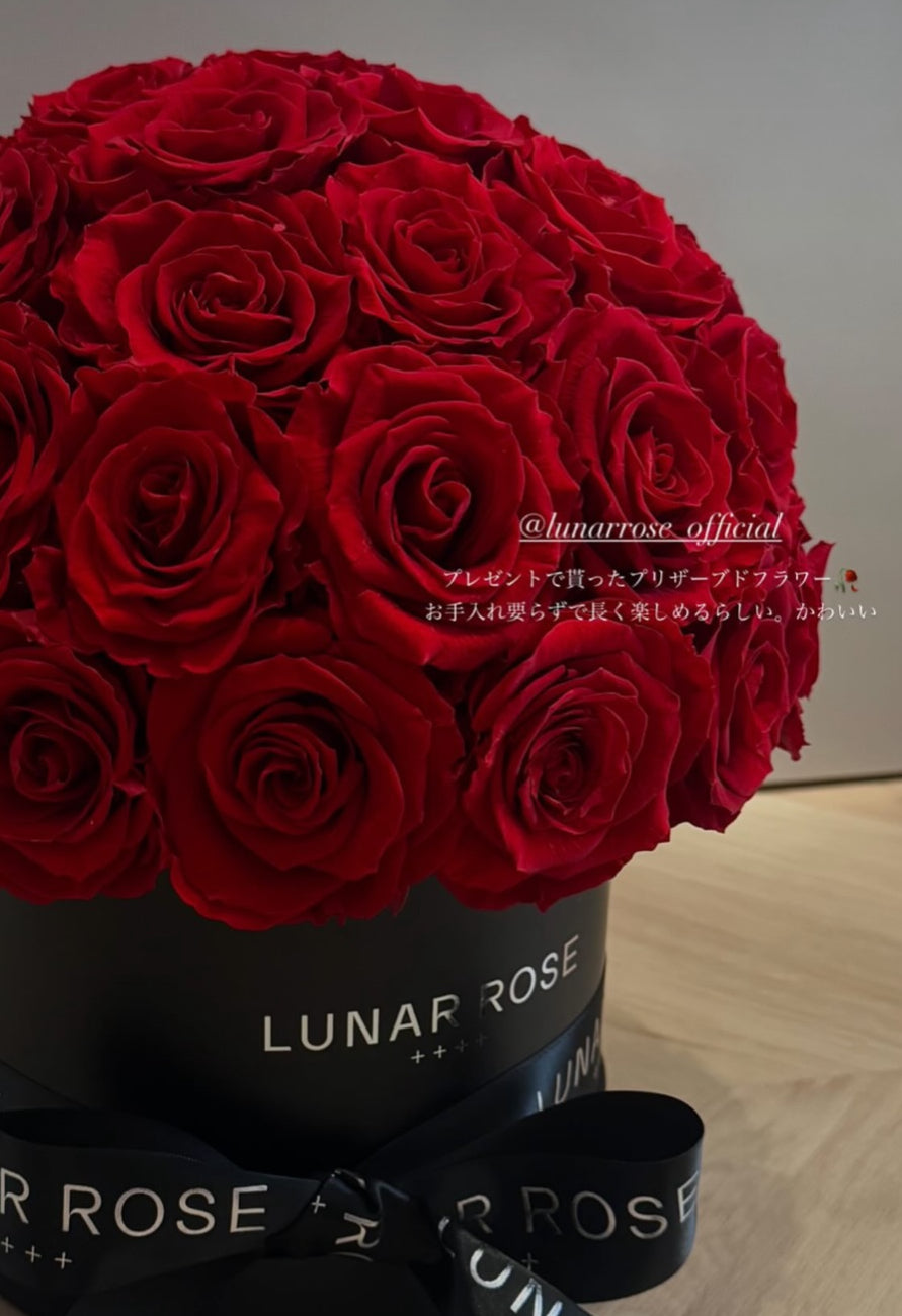 ROSE DOME Red M ｜LUNAR ROSE