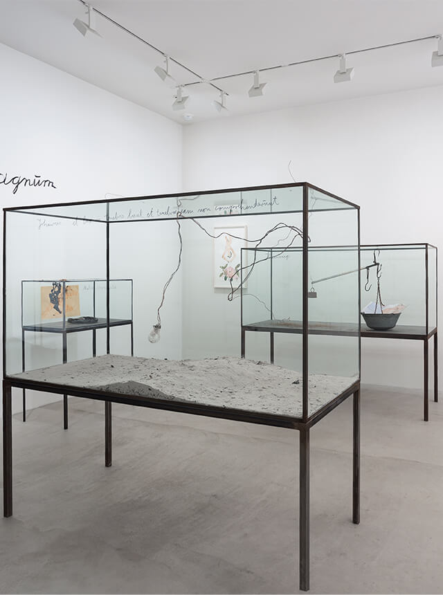 Anselm Kiefer | Lula JAPAN [ルラ ジャパン]