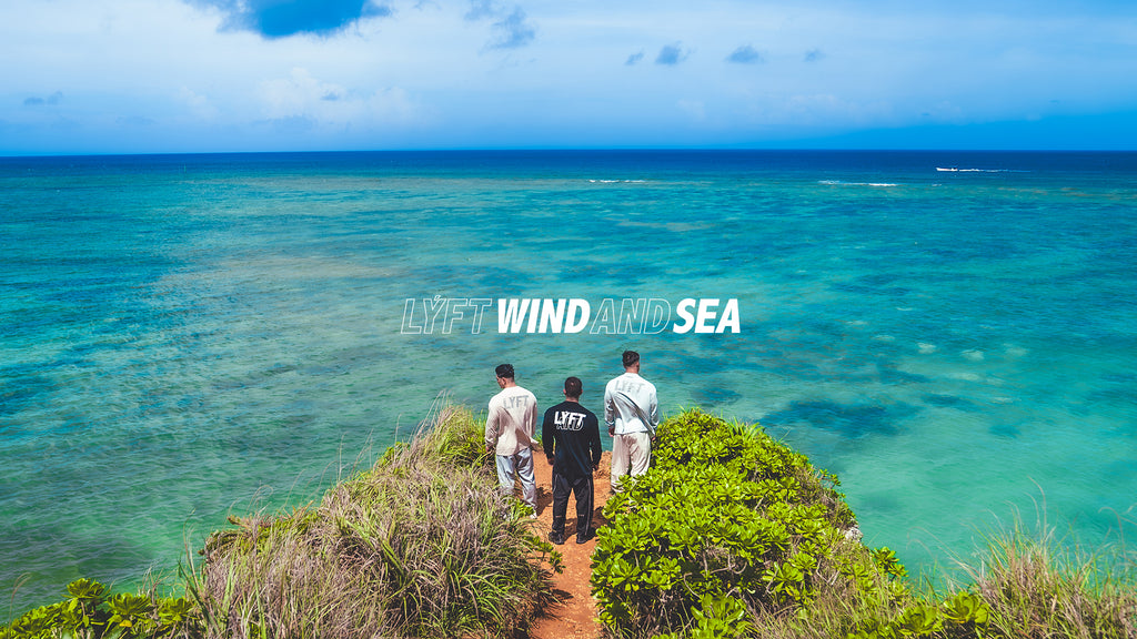 delivery_m_wind_1024x.jpg?v=