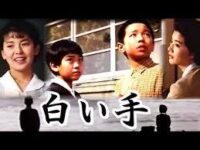 南野陽子主演_映画「白い手」ネタバレあらすじ感想 | ペットショップ