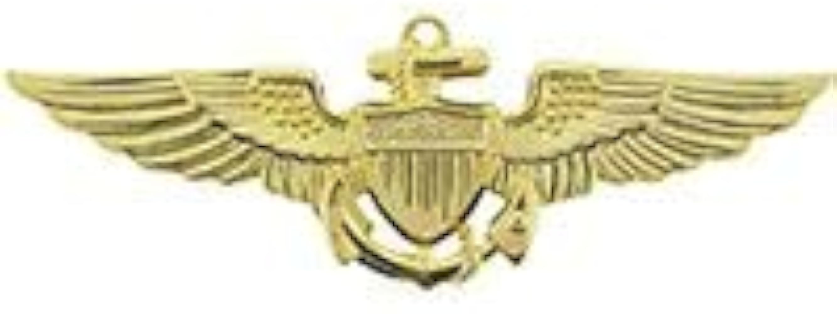 Amazon.co.jp: アメリカ 海軍 航空隊 徽章 ピンバッチ レプリカ US
