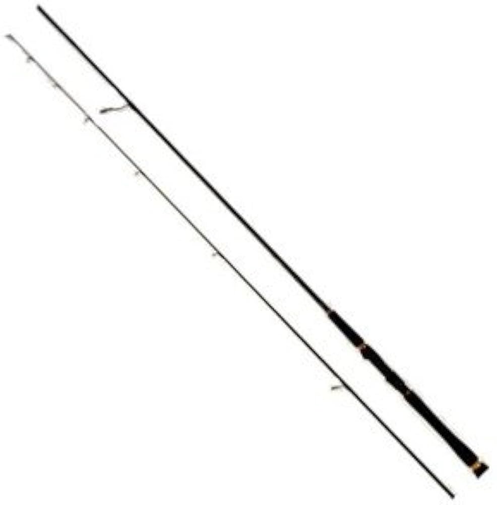 Amazon | ダイワ(DAIWA) シーバスロッド シーバスハンターX 96ML