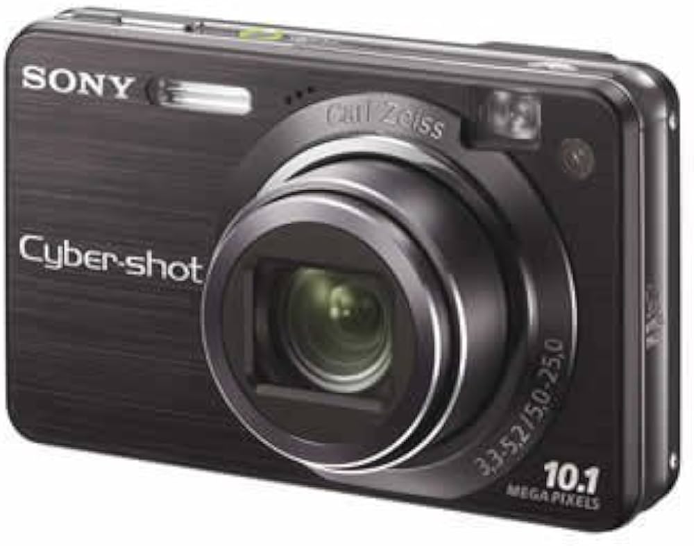 Amazon.co.jp: Sony Cyber-Shot Digital Camera W170 (10.1 Megapixels