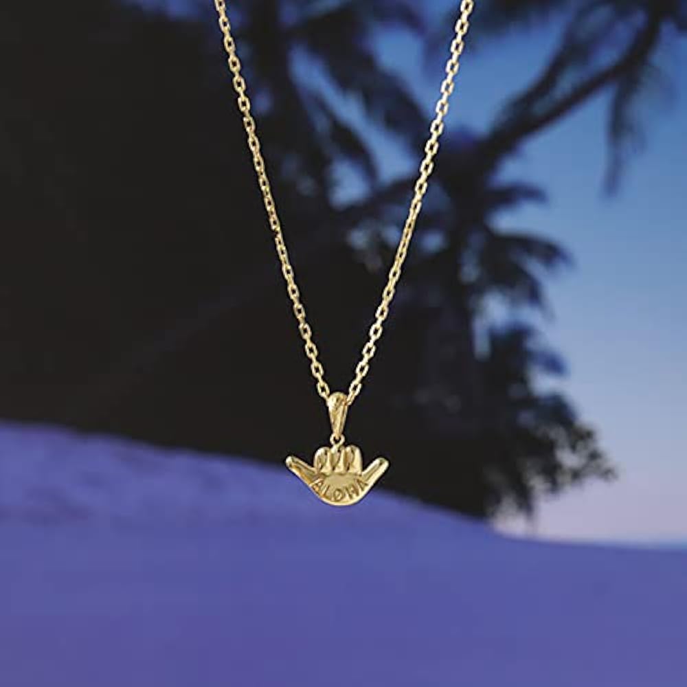 Amazon.co.jp: [ディーヴァス] k18 ペンダントトップ 18金 ネックレス