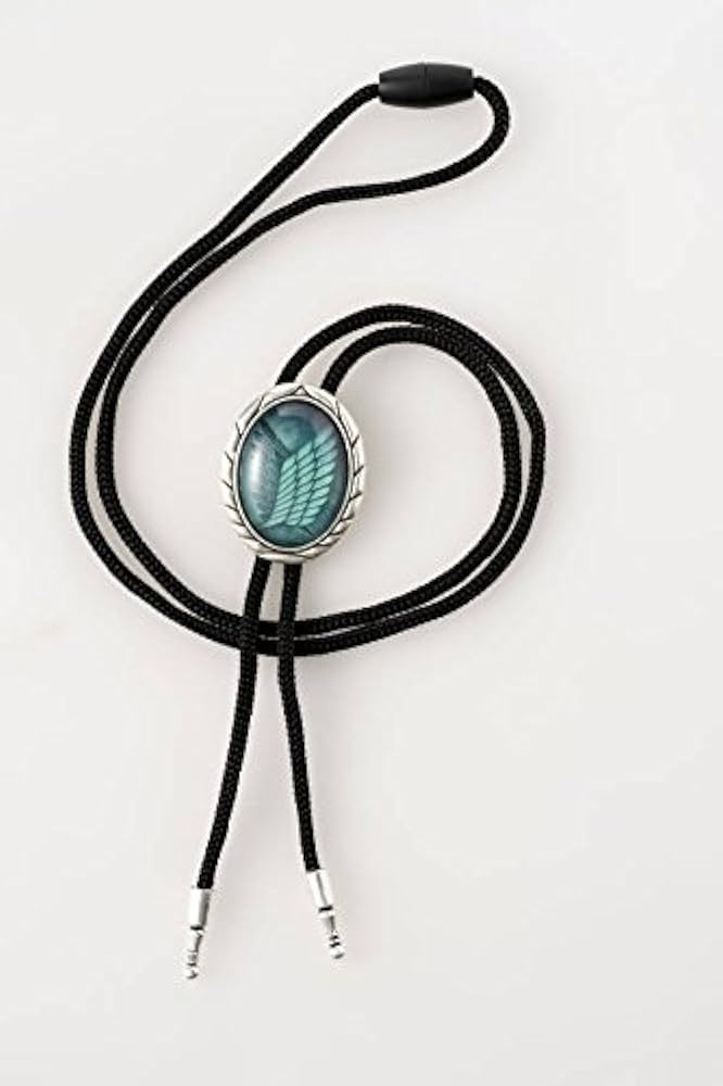 Amazon.co.jp: 進撃の巨人(23) 限定版: 講談社キャラクターズA : 諫山