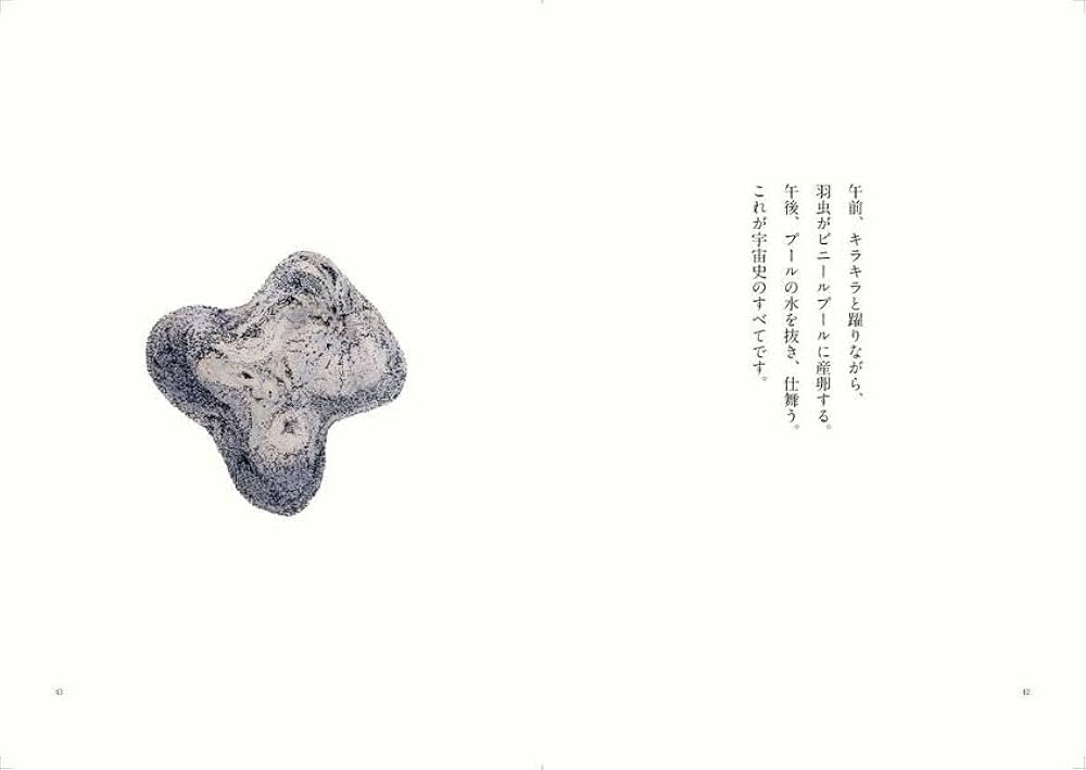 Amazon.co.jp: 宝石の国(13)特装版 (講談社キャラクターズA) : 市川