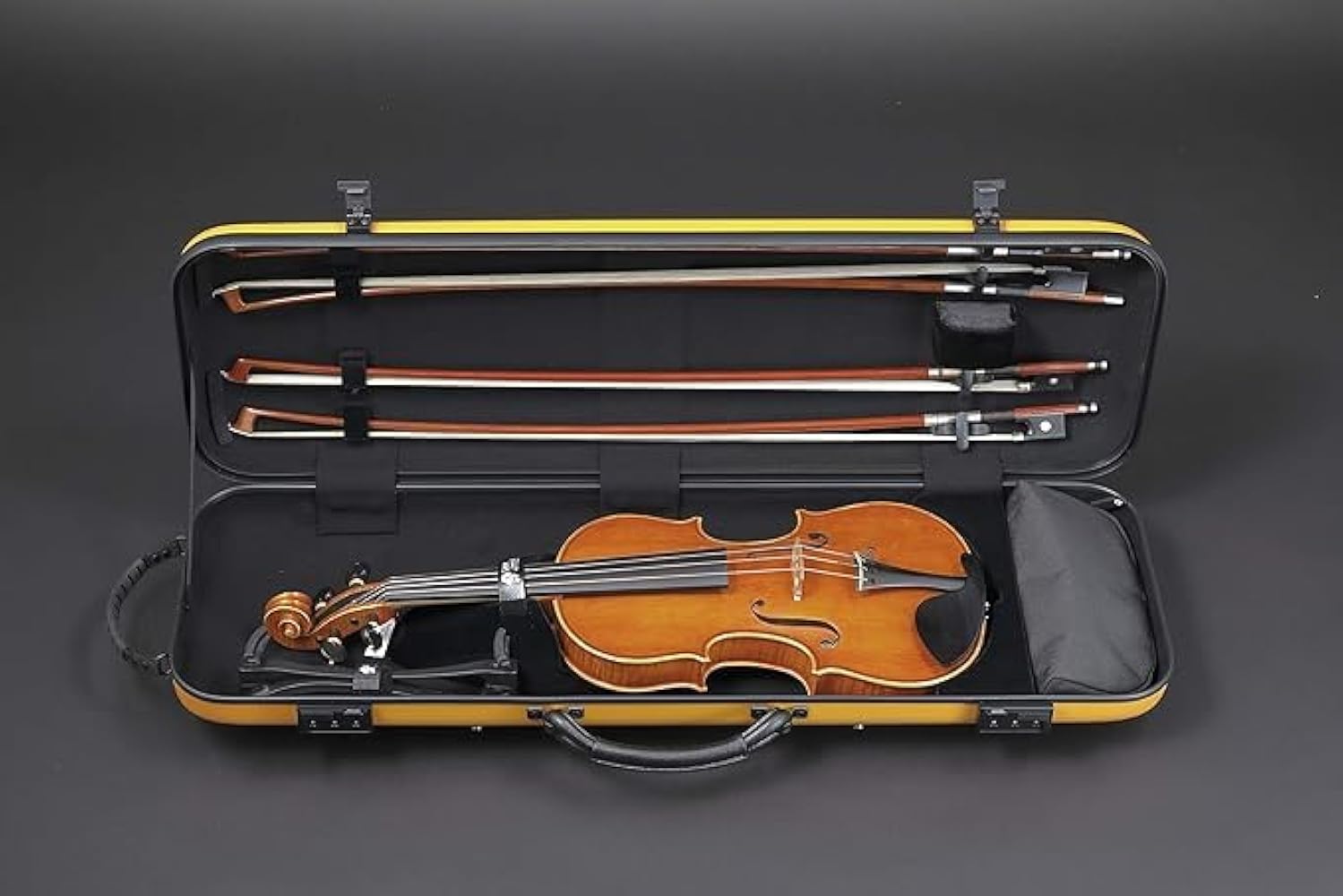 Amazon.co.jp: Lion ライオンカーボン バイオリンケース ソリッド