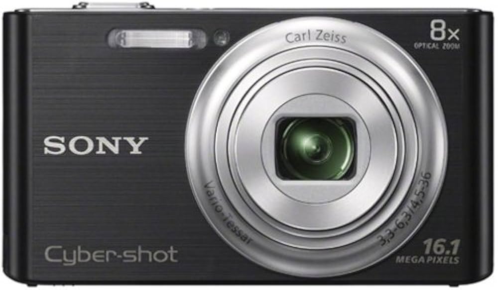 Buy Sony Cyber-Shot DSC-W730 16.1MP Point-and-Shoot Digital Camera