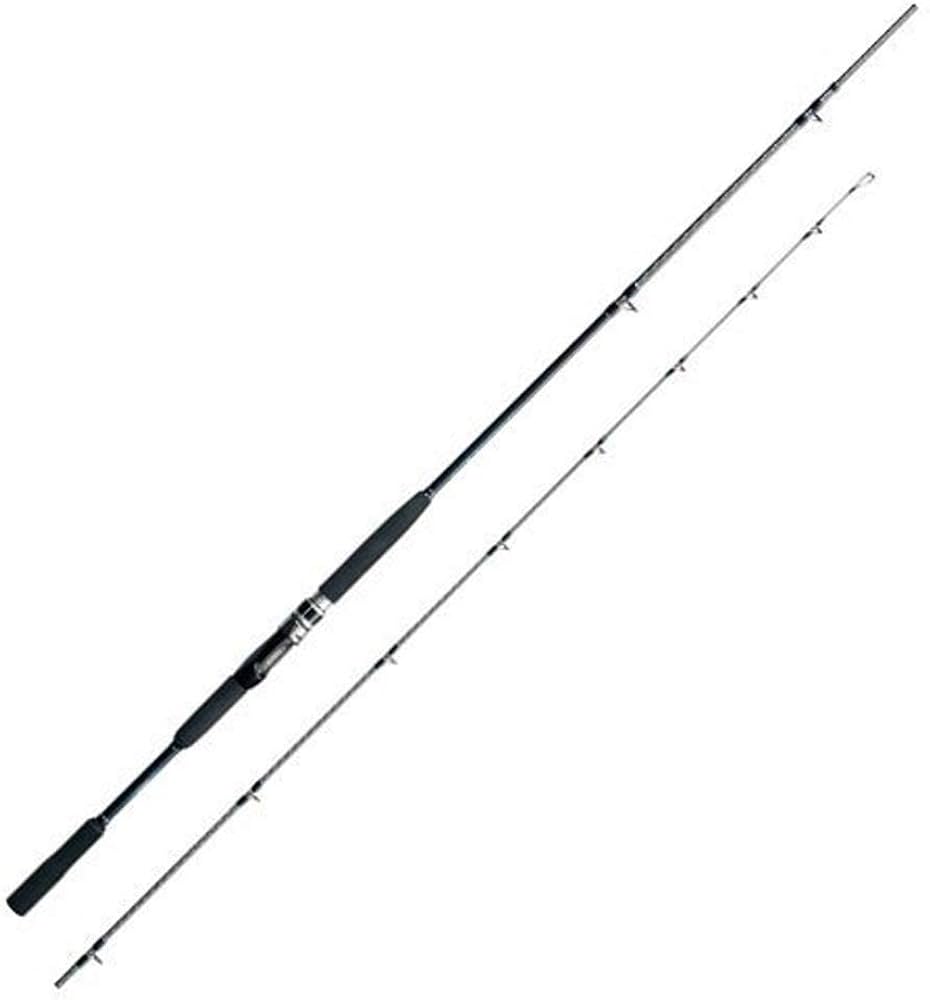 Amazon | シマノ(SHIMANO) ロッド 船竿 20 シーマイティX TYPE73 30