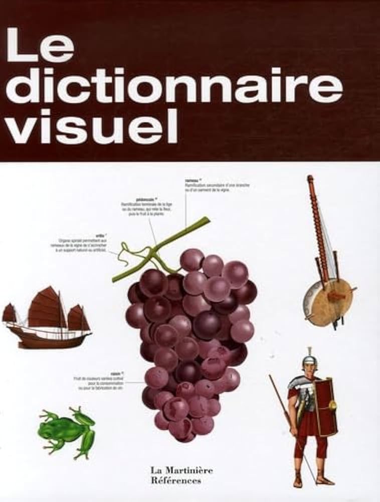 Amazon.co.jp: Le dictionnaire visuel : 本