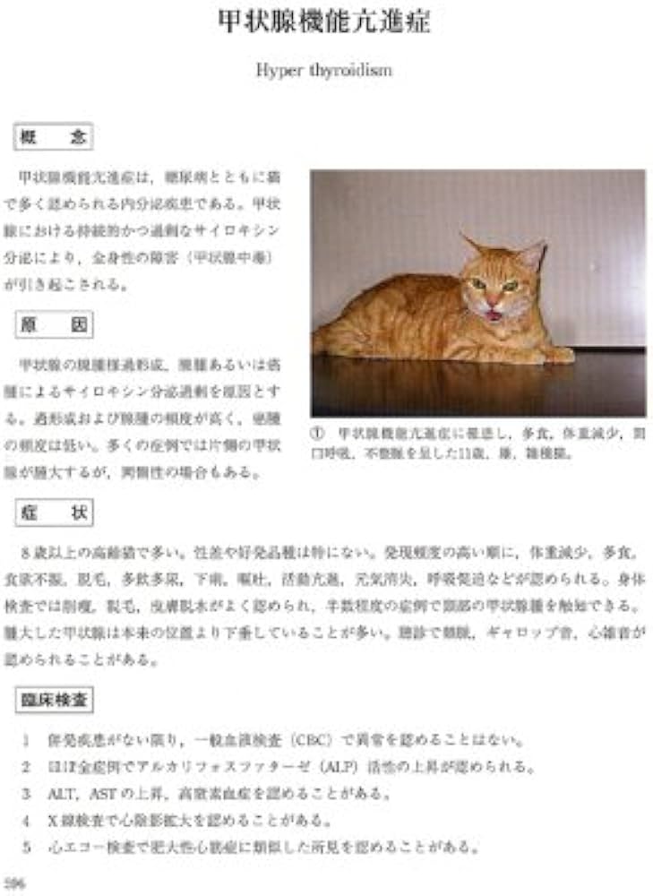 イラストでわかる！病気のしくみ 犬と猫の病態生理 | 臨床獣医学,内科