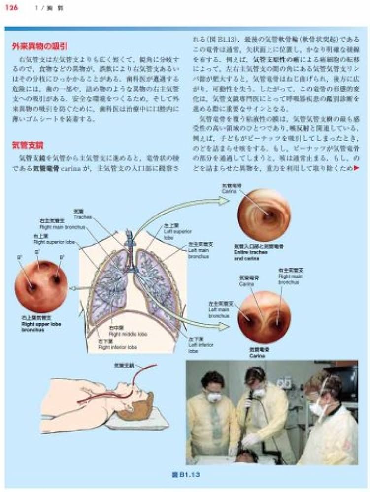 臨床のための解剖学 | 佐藤達夫, 佐藤達夫, 坂井建雄 |本 | 通販 | Amazon