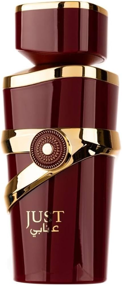 Amazon.com : Fragrance World Just Anabi EDP 100ml : Beauty