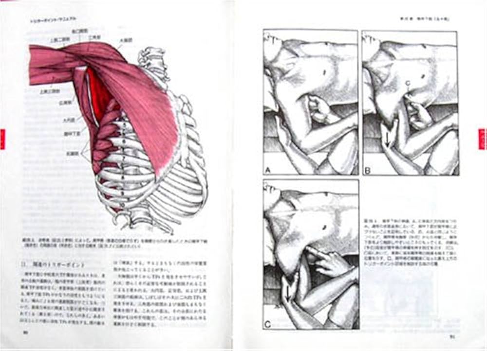 Amazon.co.jp: トリガーポイント・マニュアルI II : ジャネット