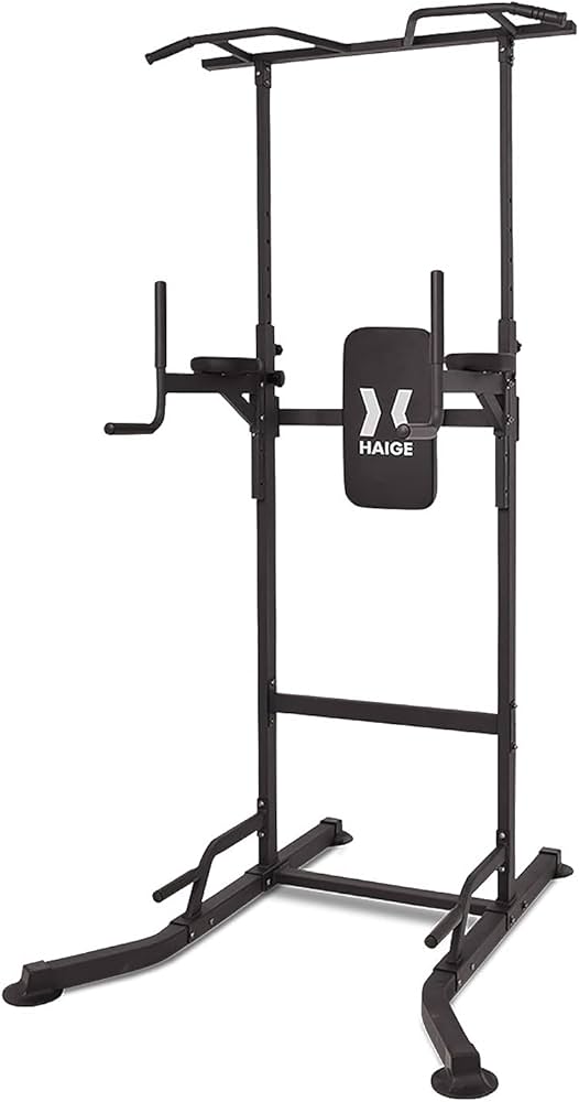 HAIGE(ハイガー) 懸垂マシン プロユース 耐荷重200kg 中古 シリーズ