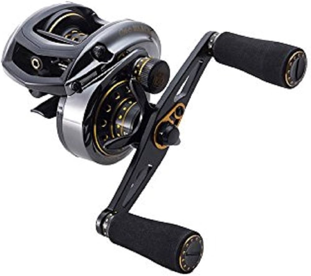 Amazon.co.jp: Abu Garcia Revo BLACK9-L Left #1366270 : Sports