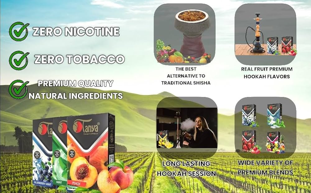 Amazon.com: Tanya Herbal Hookah Molasses Fruit Mix Hookah Shisha