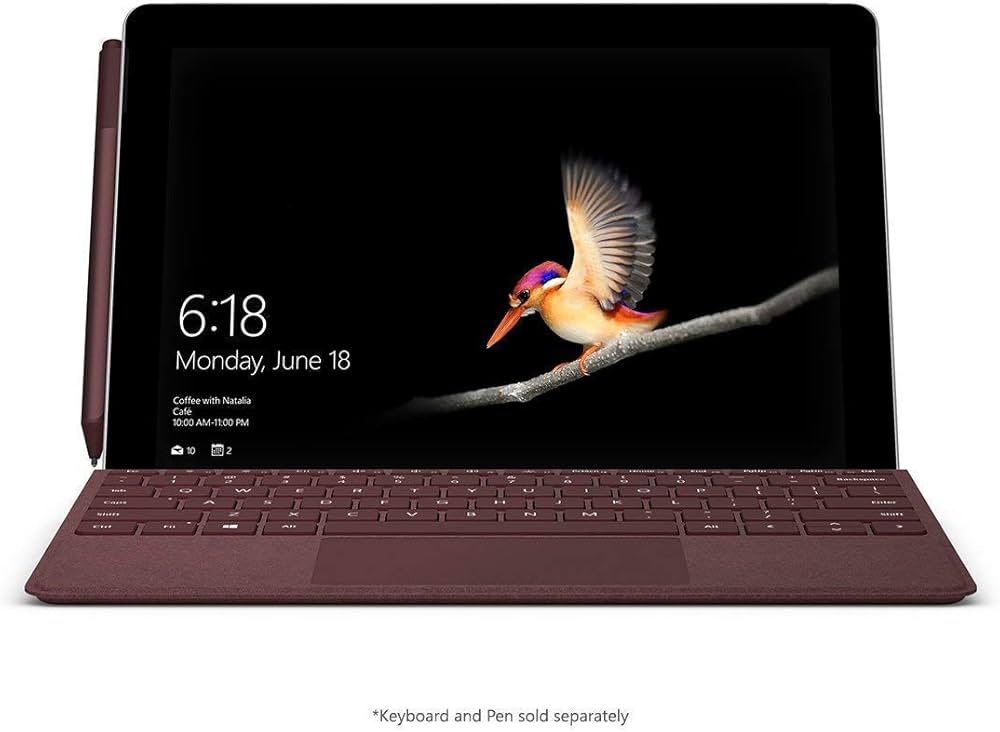 Microsoft Surface Go (Intel Pentium Gold, 8GB RAM, 128GB) : Amazon