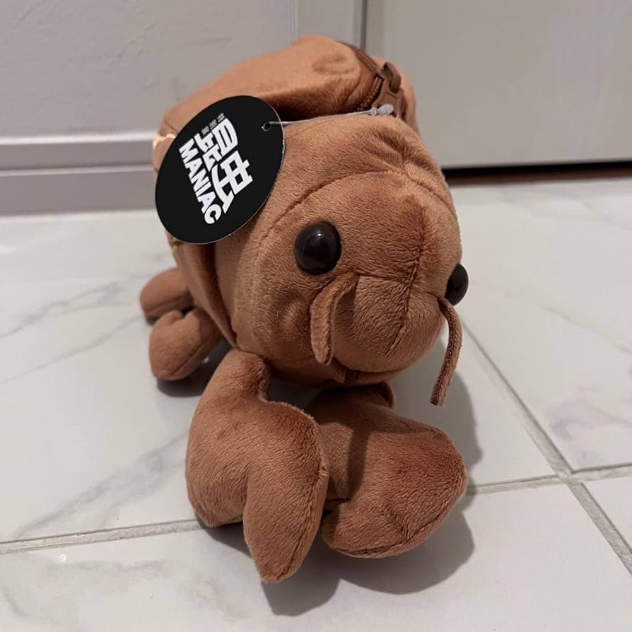 Amazon.co.jp: セミの抜け殻からセミ ぬいぐるみ 昆虫マニアック