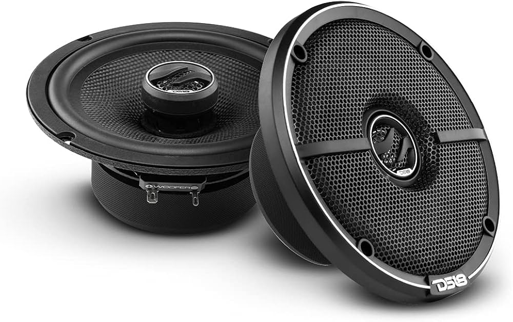 Amazon.com: DS18 ZXI-654 6.5