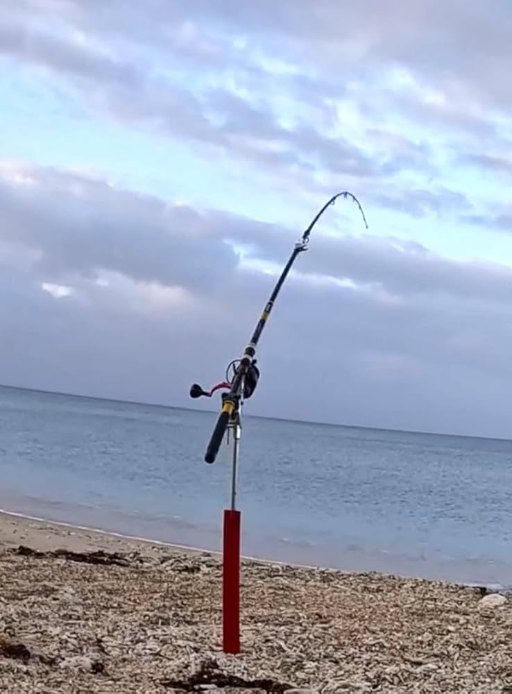 Amazon | (FKS)ネジ式ピトン竿受け用サーフロッドスタンド75㎝ サーフ