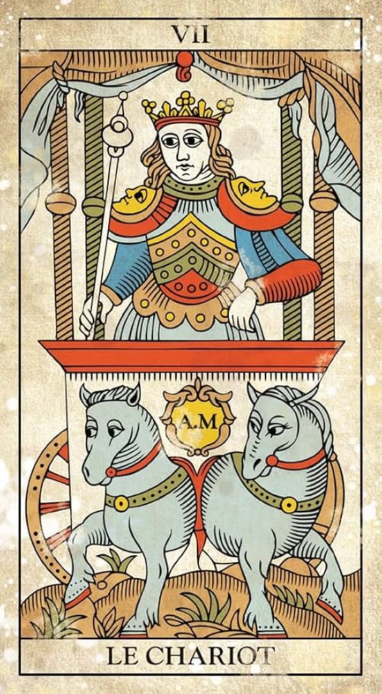 MARSEILLE VINTAGE TAROT: unknown: 9788865277775: Amazon.com: Books