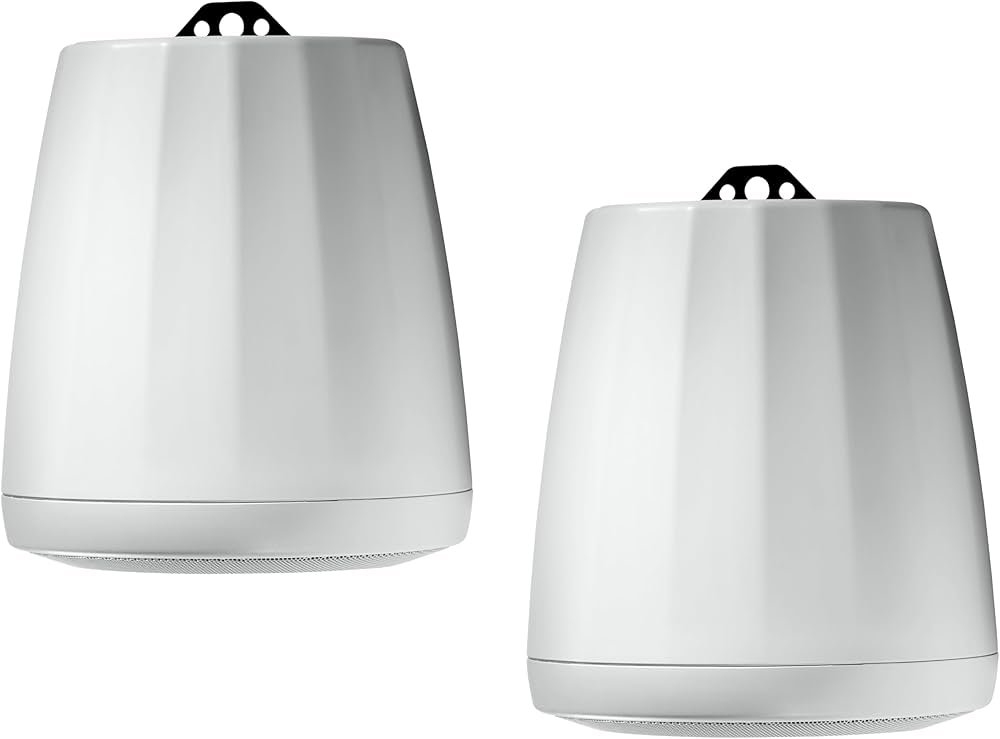 Amazon.com: JBL Professional C65P/T-WH Compact Full-Range Hanging