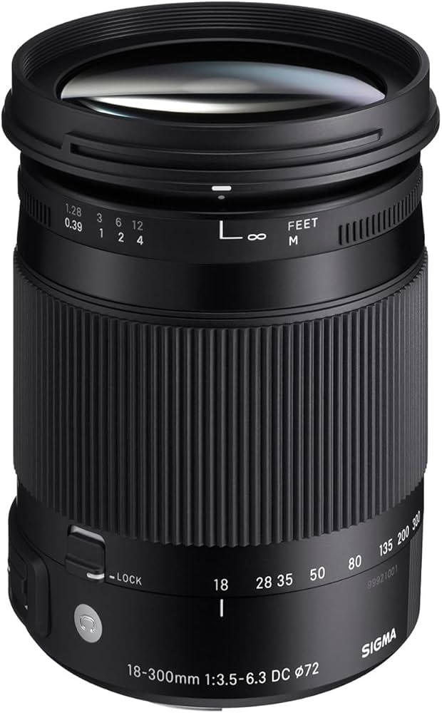 Amazon.co.jp: シグマ(Sigma) SIGMA 18-300mm F3.5-6.3 DC MACRO OS