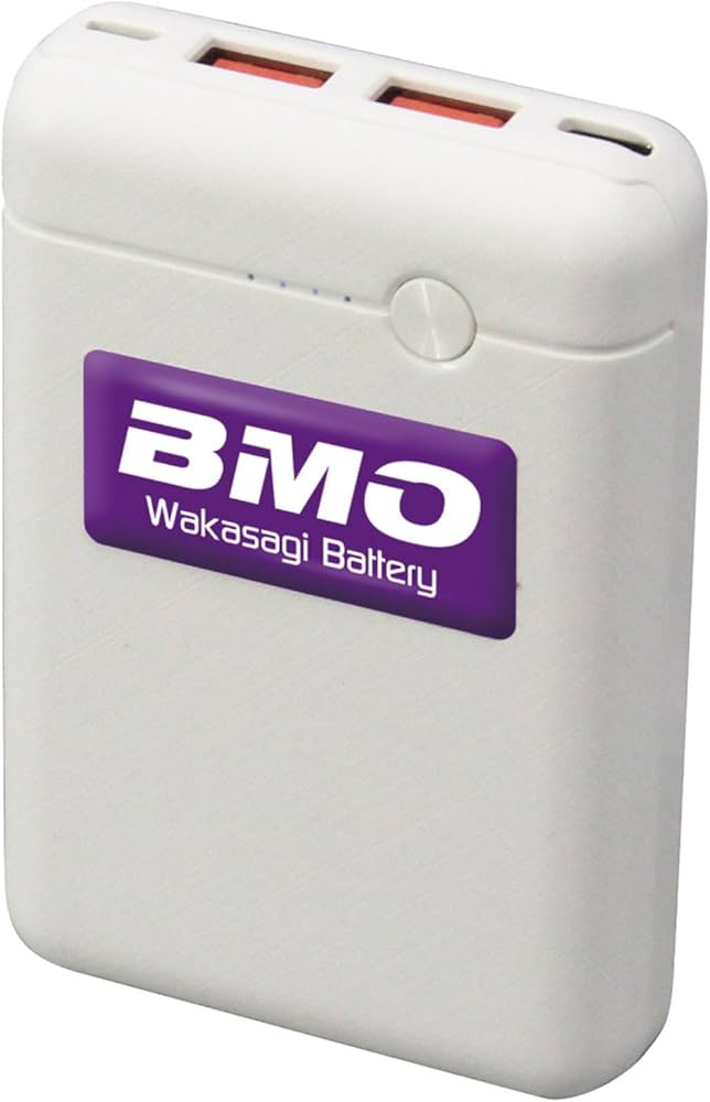 Amazon | BMO JAPAN(ビーエムオージャパン) ワカサギ電動リール用