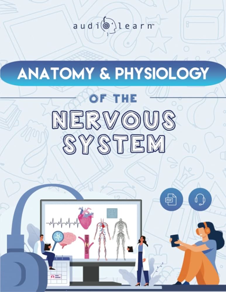 The Anatomy and Physiology of the Nervous System - A Complete