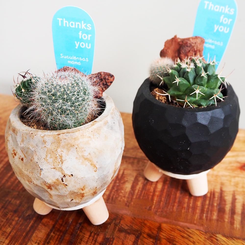 盆栽鉢 九谷焼 松竹梅 4号 幅12.5cm×高さ7.8cm 陶器鉢