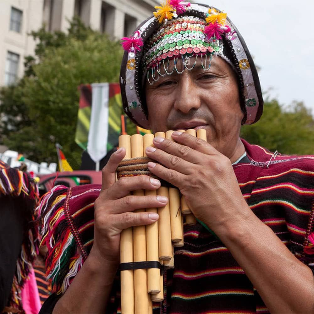 Amazon.co.jp: ペルーのインディアンパンフルート、13/17/19/23トーン