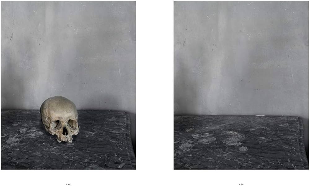 Amazon | Joel Meyerowitz: Cézanne's Objects | Meyerowitz, Joel