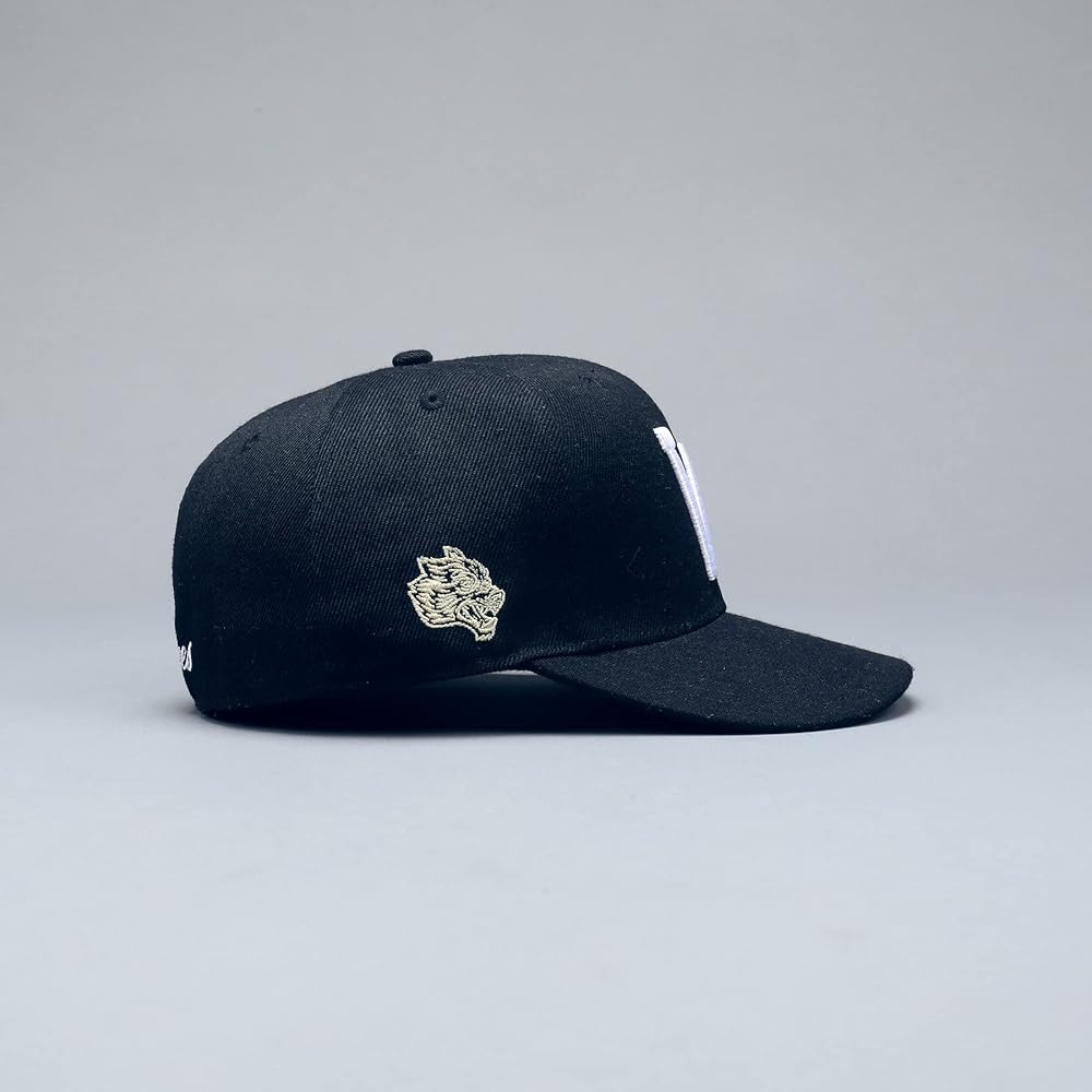 Amazon | [ダルクスポーツ] DARC BEFORE DAWN W FITTED CAP NAVY