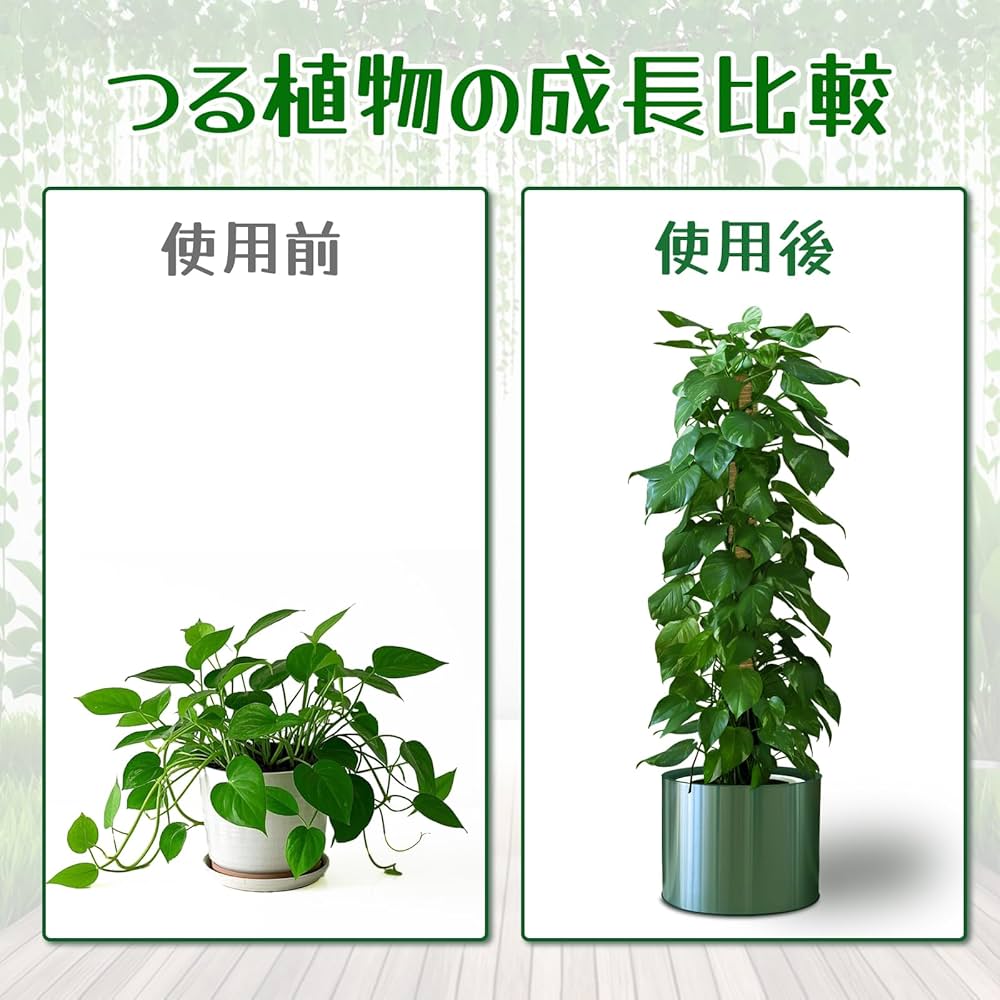 Amazon | 園芸 支柱 120cm 太め モンステラ支柱 ココスティック DIY