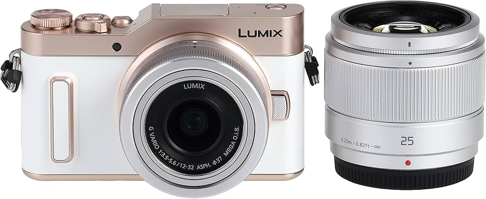 Amazon.co.jp: Panasonic Lumix GF90 Mirrorless Single Lens Camera
