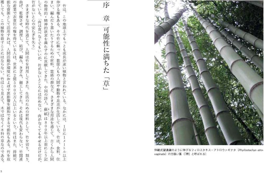 竹の文化誌 (花と木の図書館) | スザンヌ・ルーカス, 山田 美明 |本