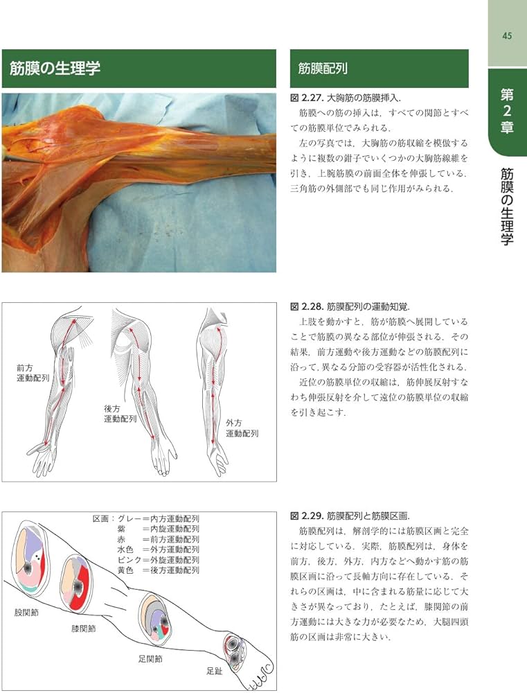 Amazon.co.jp: 筋膜マニピュレーション 実践編 レベル1 原著第2版