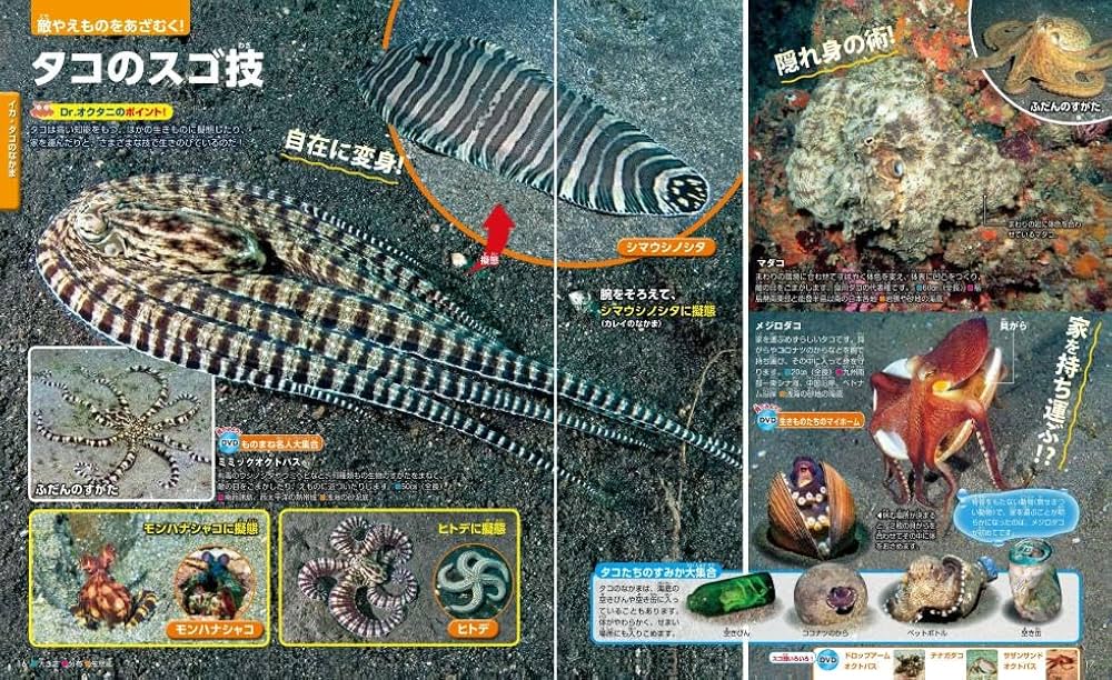 Amazon.com: 水の中の生きもの (講談社の動く図鑑MOVE): 9784062210294