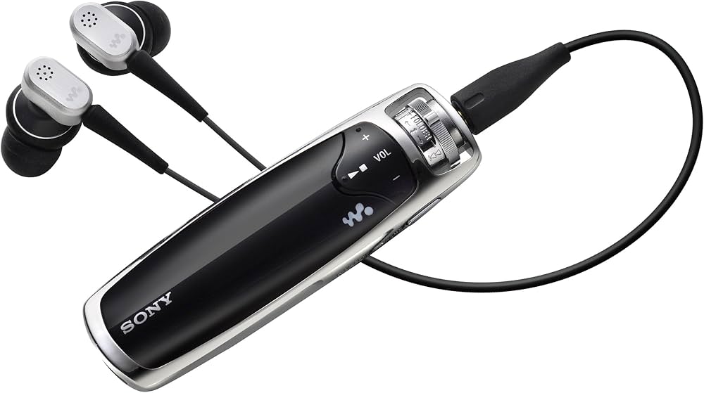 Sony NW-S705F Noise-Canceling Walkman MP3 Player (Black) : Amazon