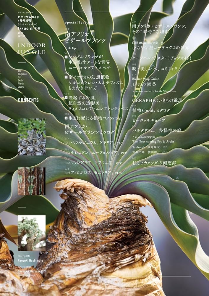 INDOOR JUNGLE （インドアジャングル）No.05 南アフリカ・ビザール