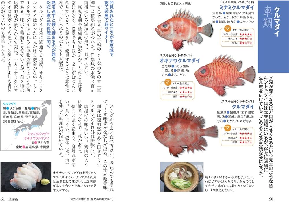 マイナビ文庫】美味しいマイナー魚図鑑ミニ | ぼうずコンニャク 藤原昌
