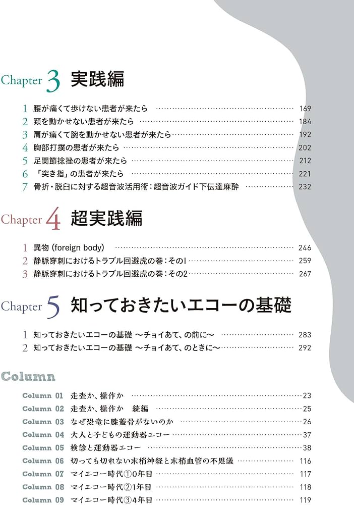 運動器エコーのメタ診療: 実臨床に役立つAR動画100本付き | 皆川 洋至
