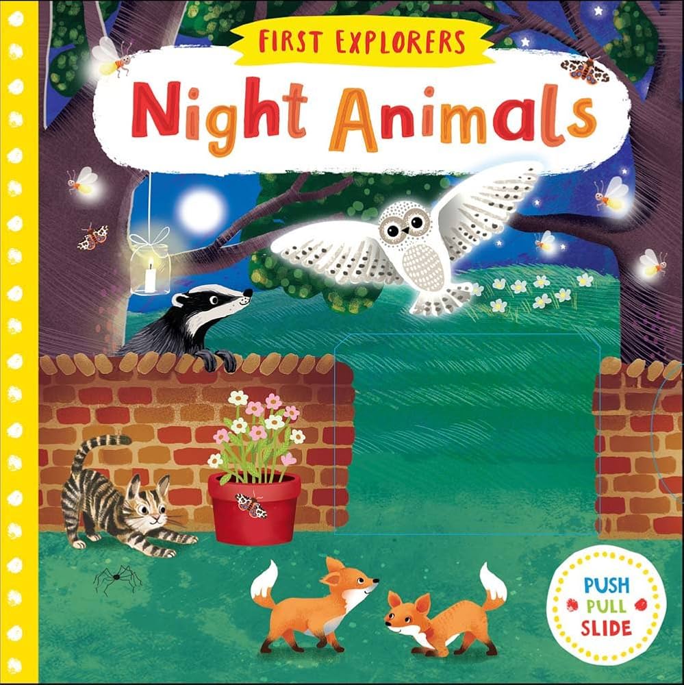 Night Animals (First Explorers): Wren, Jenny: 9781454926573