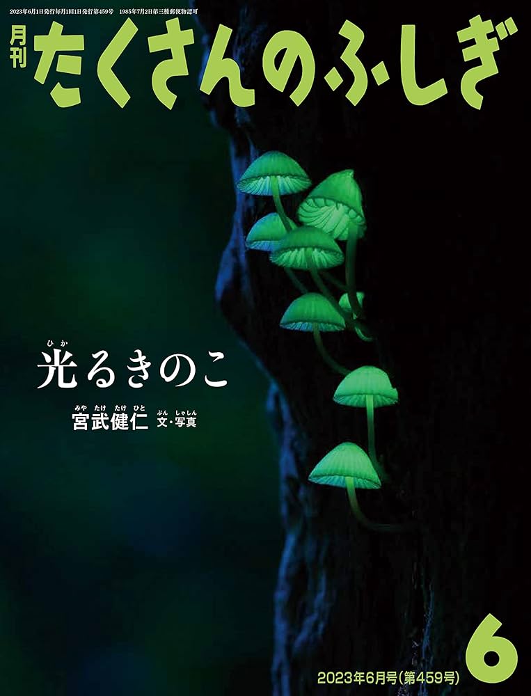 光るきのこ (たくさんのふしぎ2023年6月号) | 宮武健仁, 宮武健仁 |本