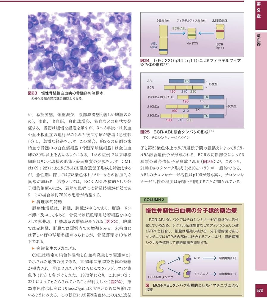 解明病理学第4版 病気のメカニズムを解く | 青笹 克之, 加藤 光保