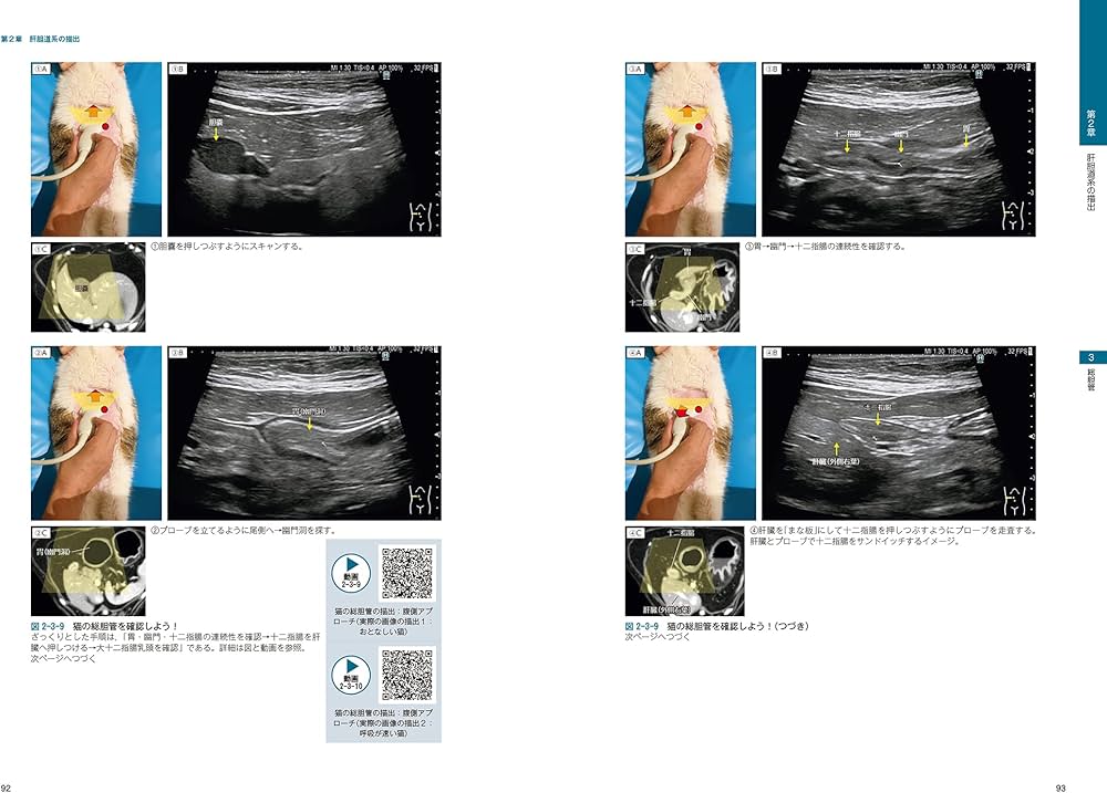 ビジュアルと動画でわかる！ 犬と猫の腹部超音波の描出レッスン 上巻