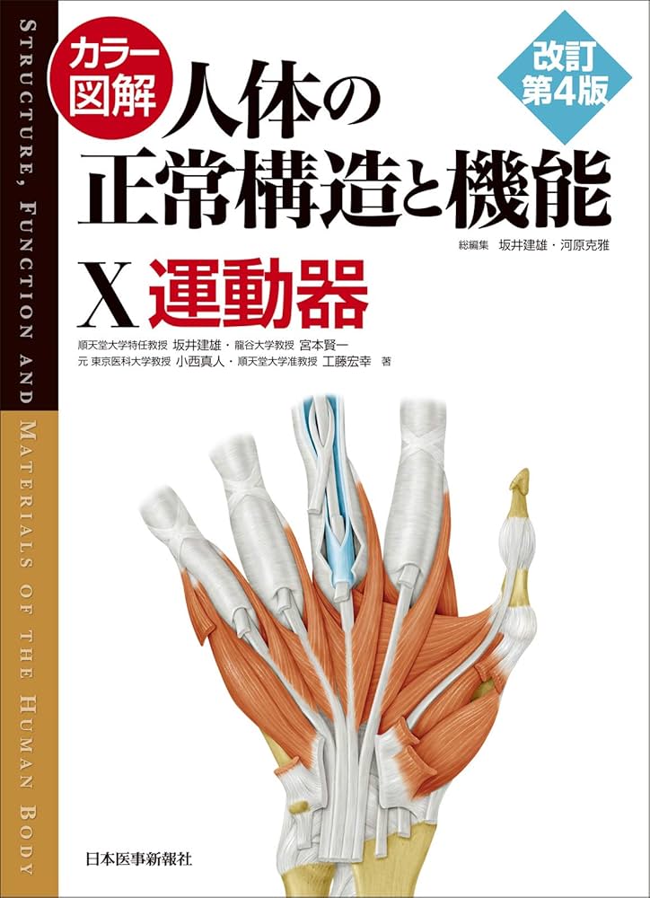 Amazon.co.jp: カラー図解 人体の正常構造と機能〈10〉運動器【改訂第4