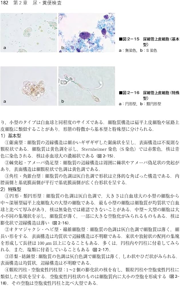 臨床検査法提要 改訂第36版 | 奥村 伸生, 本田 孝行, 矢冨 裕, 山内 一